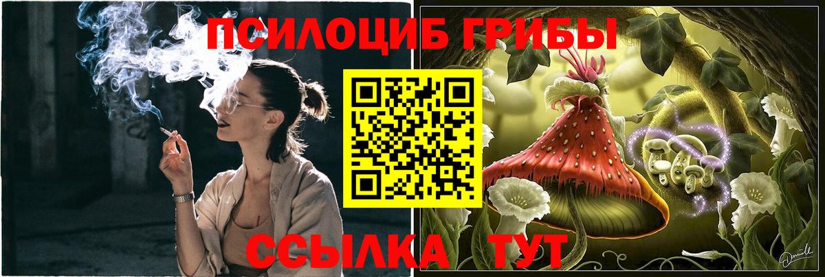 Вологда  Галлюциногенные грибы прущие грибы  Псилоцибиновые грибы MAGIC MUSHROOMS  Вход с VPN 